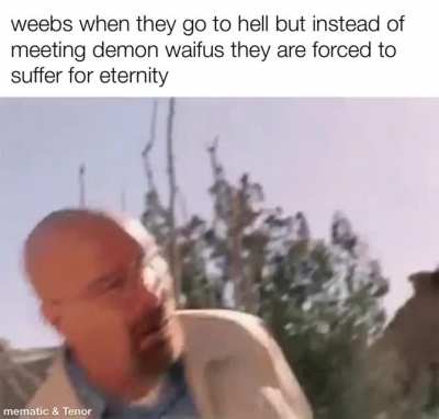 ö
