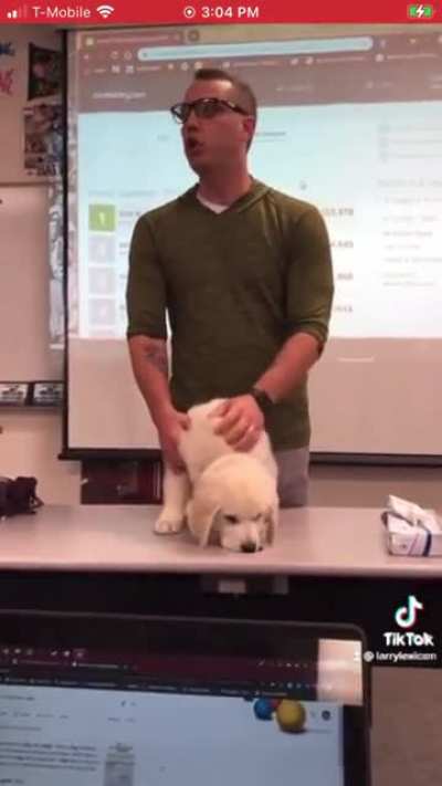 This teacher is evil I'm telling you