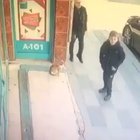 Cat thug