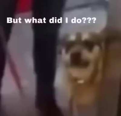 What did he do?