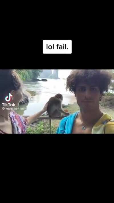 Monke Scream 🐒