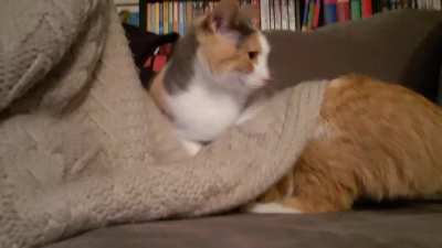 She didn't realize she was laying on him.