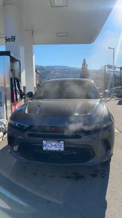Just a Angry Hornet