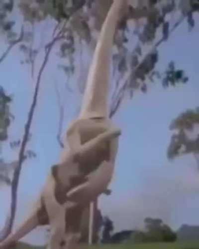 Welcome...to Jurassic Park.