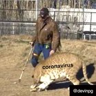 Me when the coronavirus starts closing in