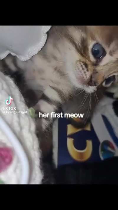 craoakwkwkwksmemrj