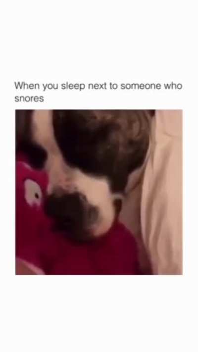 The cat isnt having the chill