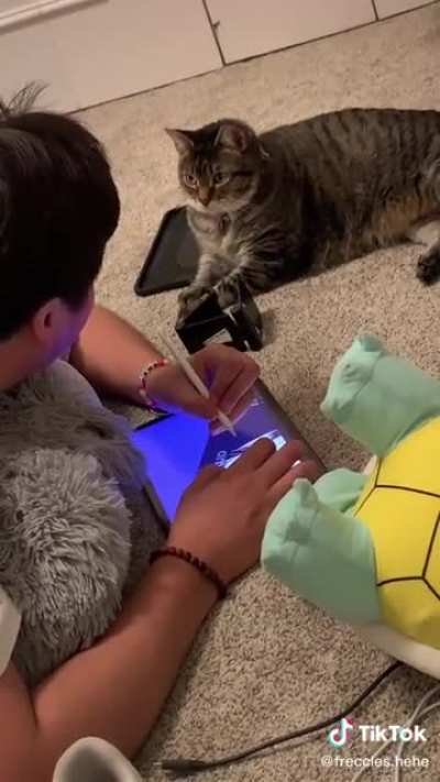 Why’d you stop?