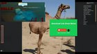 🧐🧐🧐robloxian 🤔🤔🤔 شرائط جنس النسب😱😱😱😱😱roblox