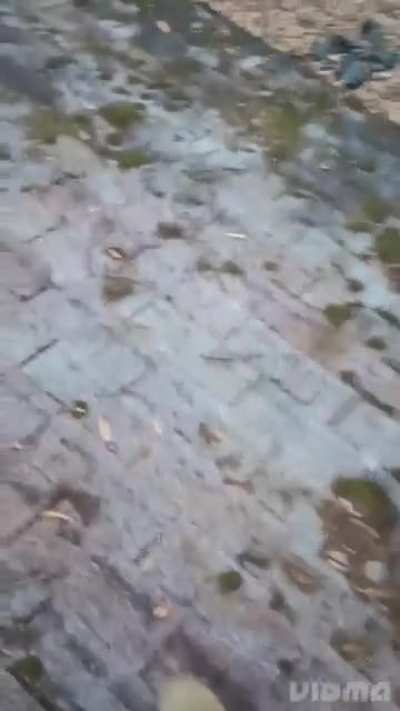 whoopsie daisy