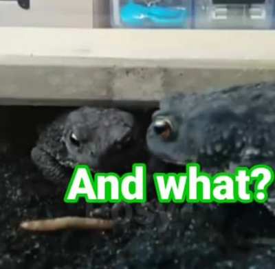 That, my friend… Is a worm