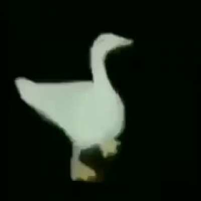 PATO EMINEM 😎
