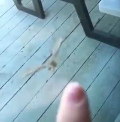 Phone betrayal