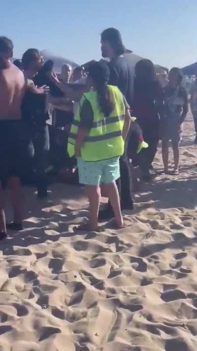 Furry Beach Fight