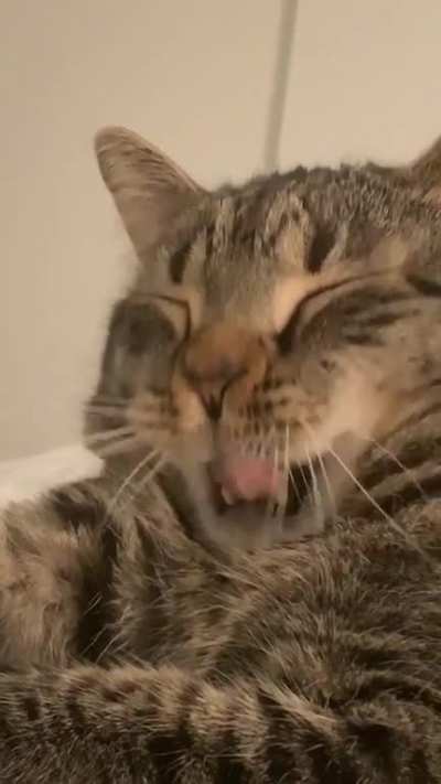 Oh big yawn