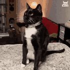 A cheesy surprise