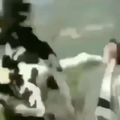 Battle