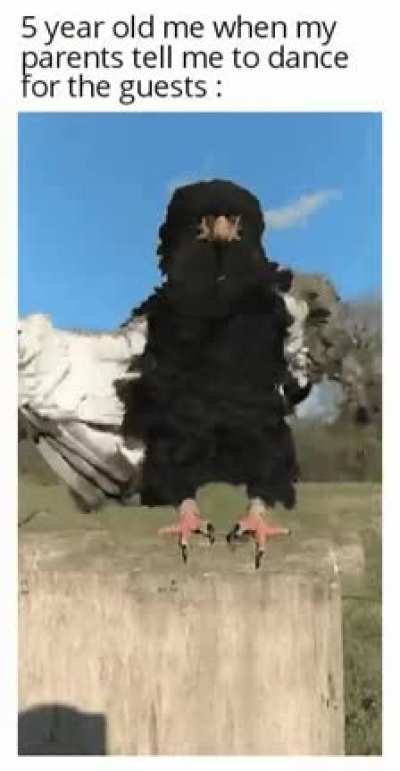 I'm a Dancer