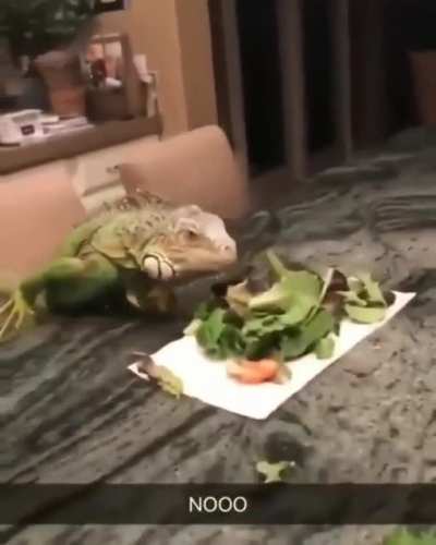 Uh-
