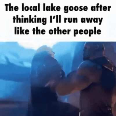 Rule