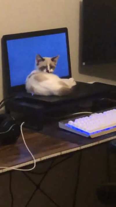 This is what I walk into my office to