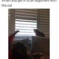 Checkmate