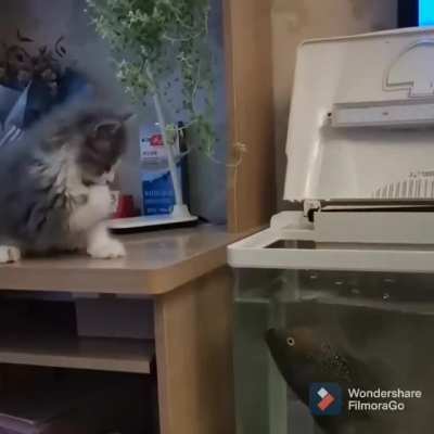 Una versión más 