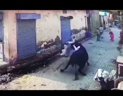 When messing with the bull.