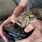 Using analog for better scritch control