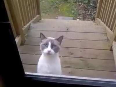 waaa