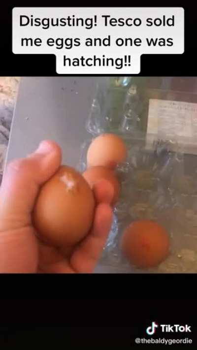 Chicken egg from Tesco
