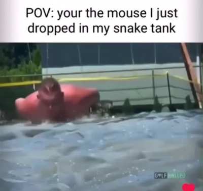 Sssssssssss