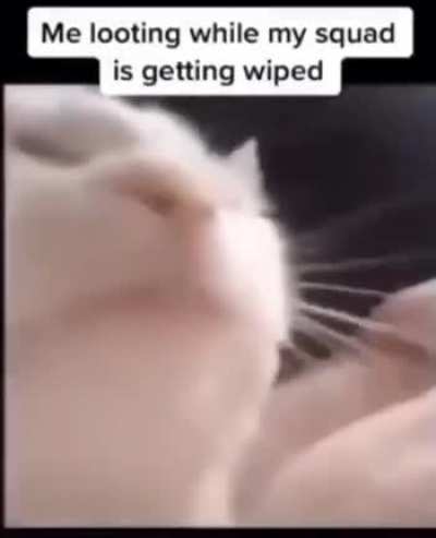 Just a br meme while waiting for the update desperately