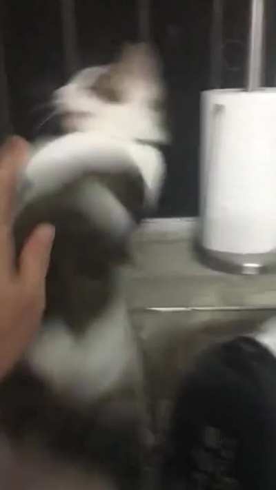The butt touch