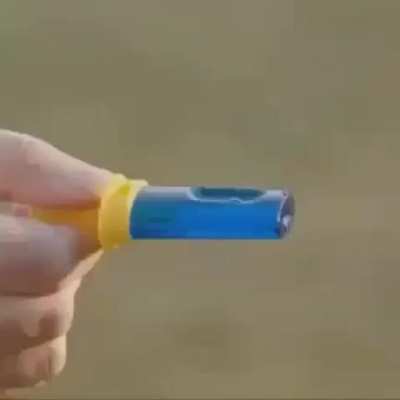 A treat for the whole family