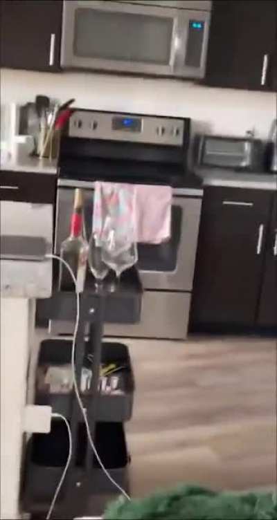I guess the cat wasn’t clawful enough