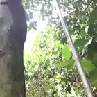 It’s the second one you gotta watch