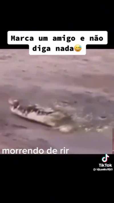 Vídeo teste