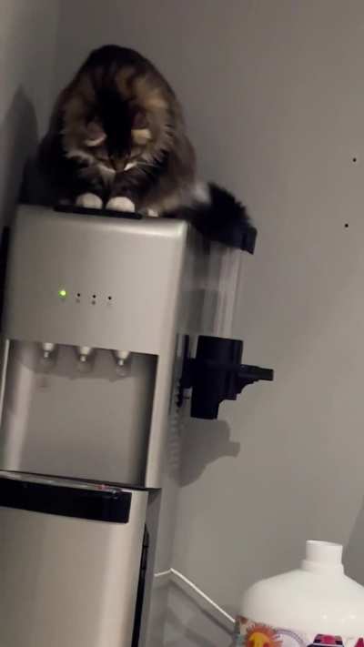 He figured out how to use the water dispenser
