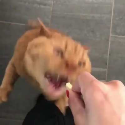 Голодный
