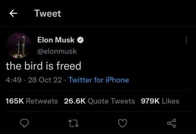 Free bird