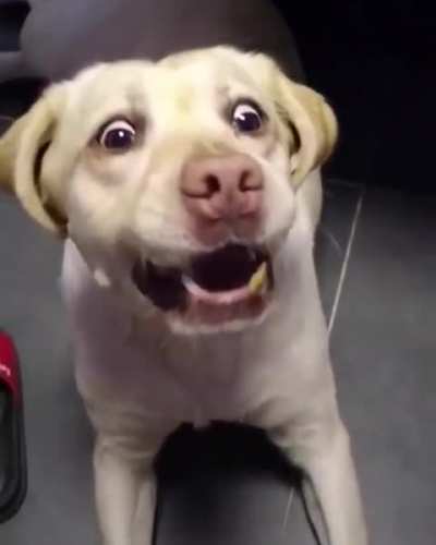 He’s doing his best