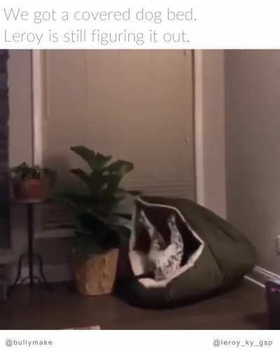 You can Leroy