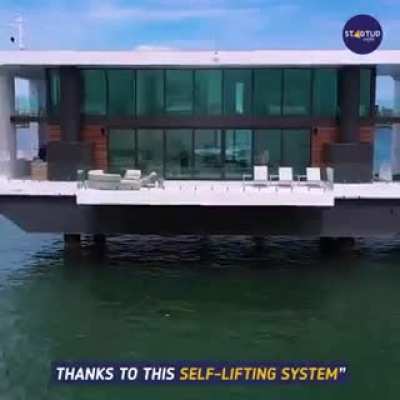Yachts of the future