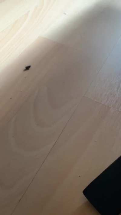 Breakdance fly