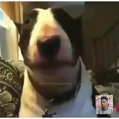 ÃÃWWW