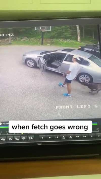 when fetch goes the wrong way