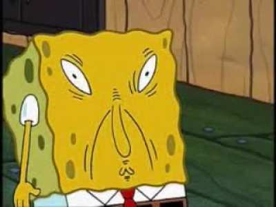 spongr