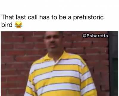 Ka kaw ka kaw