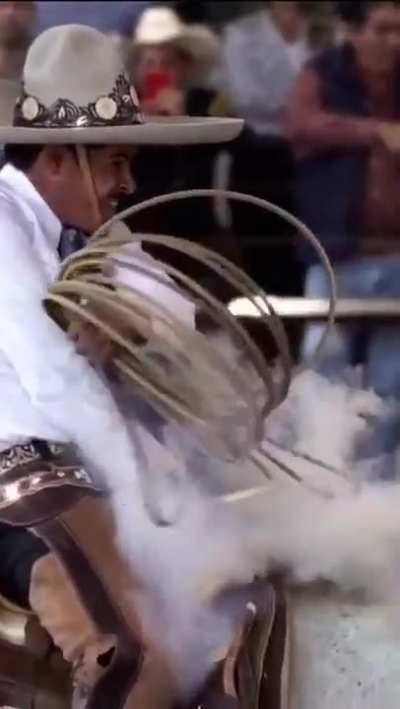 The smoke wow